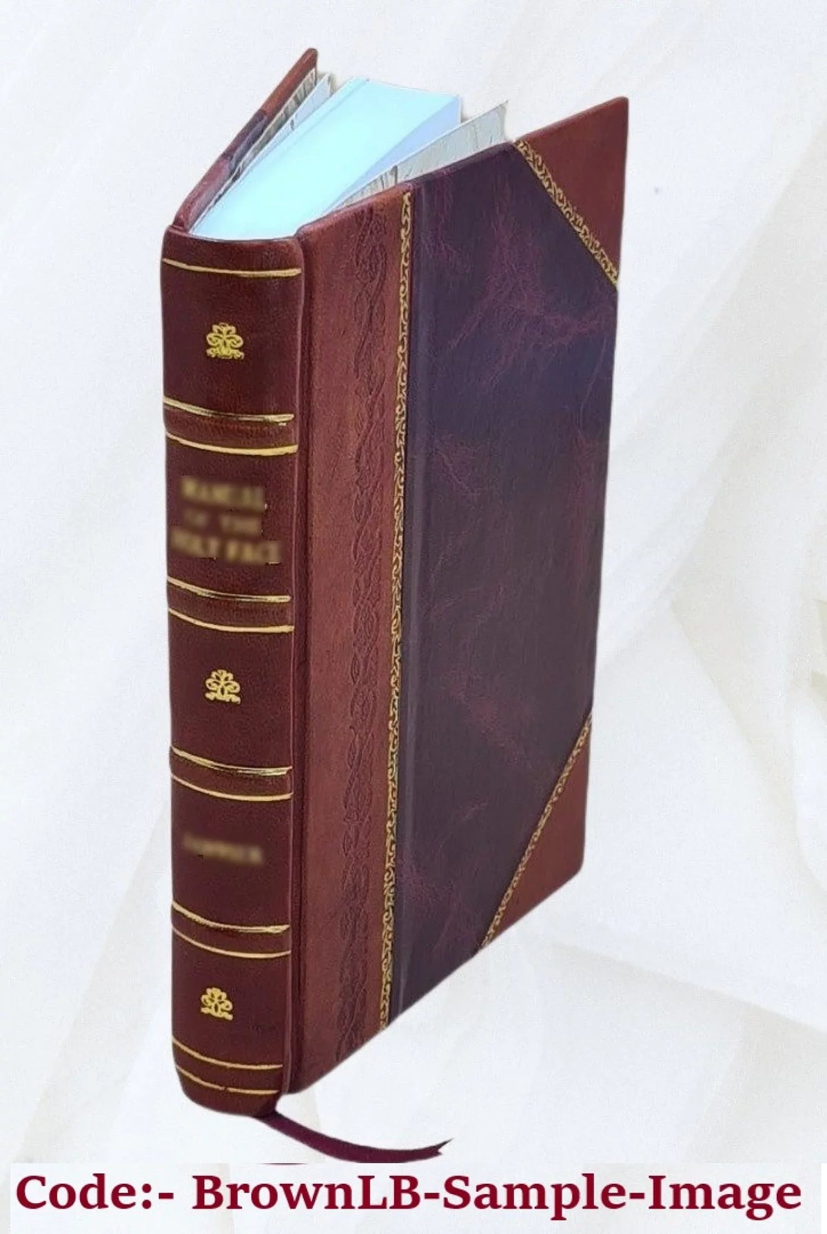 Annual report on the statistics of municipal finances city and town fiscal years ending between ... and ... / by the Director of the Bureau of Statistics. Volume 11th (1916/17) 1917 [Leather Bound