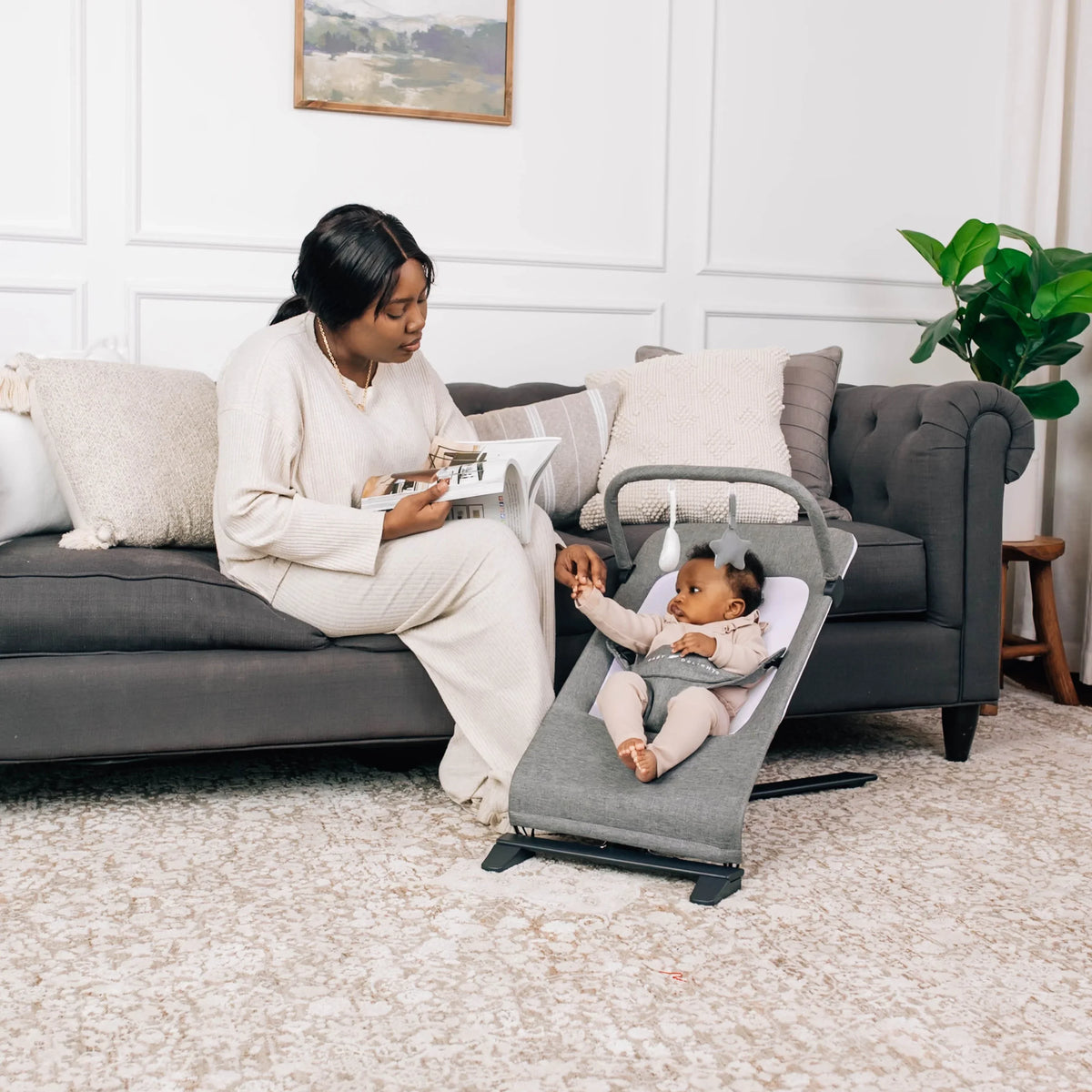Baby Delight Alpine Deluxe Portable Baby Bouncer, Infants 0-6 Months, Charcoal Tweed